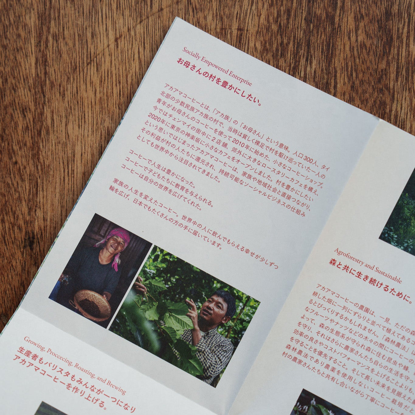 【限定】Christmas Roast 中浅煎り/Natural