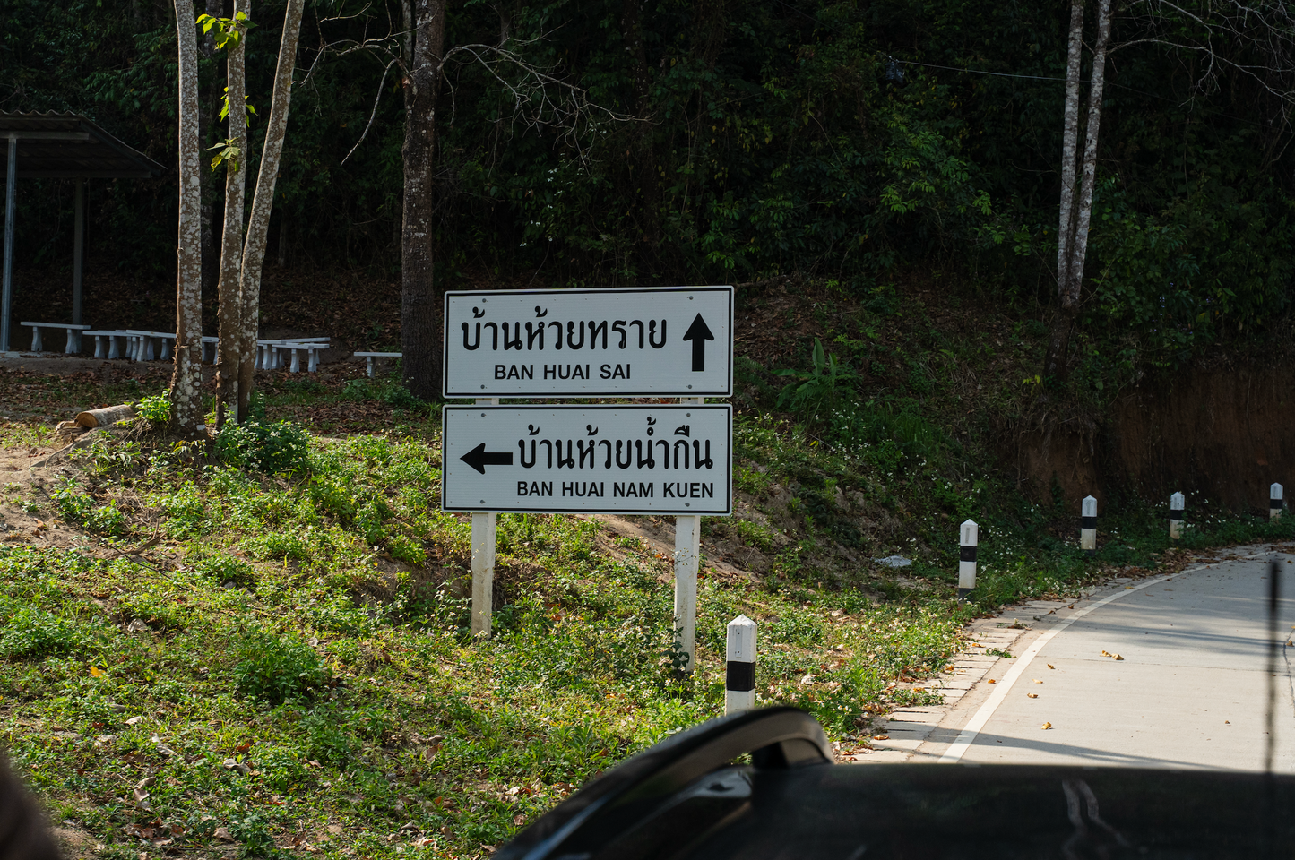 BEEJI(浅煎り)/Honey