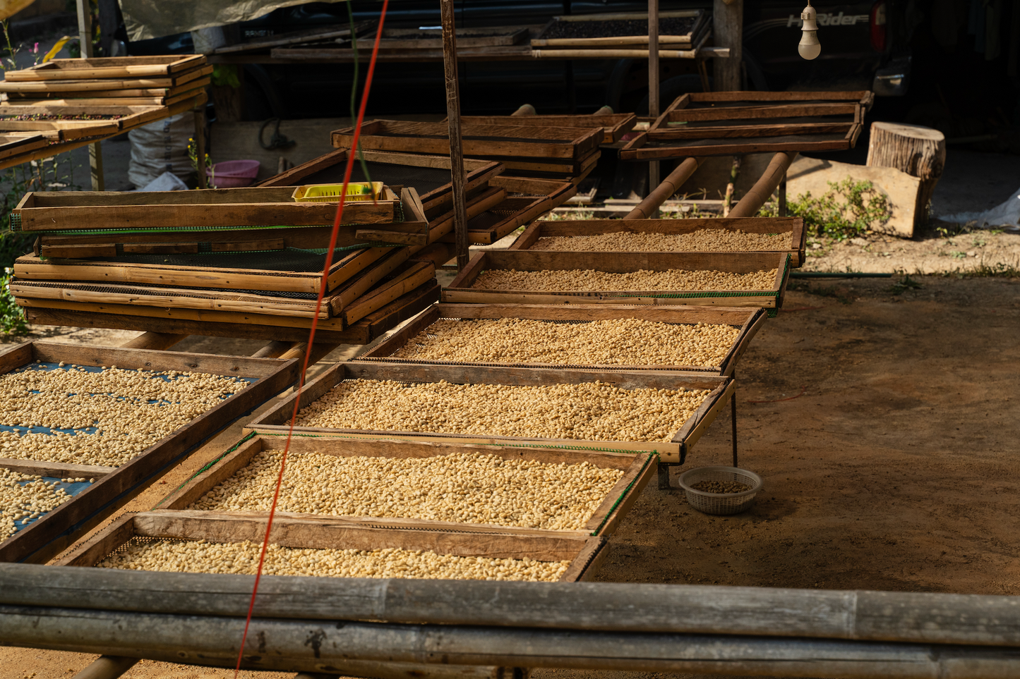 BEEJI(浅煎り)/Honey