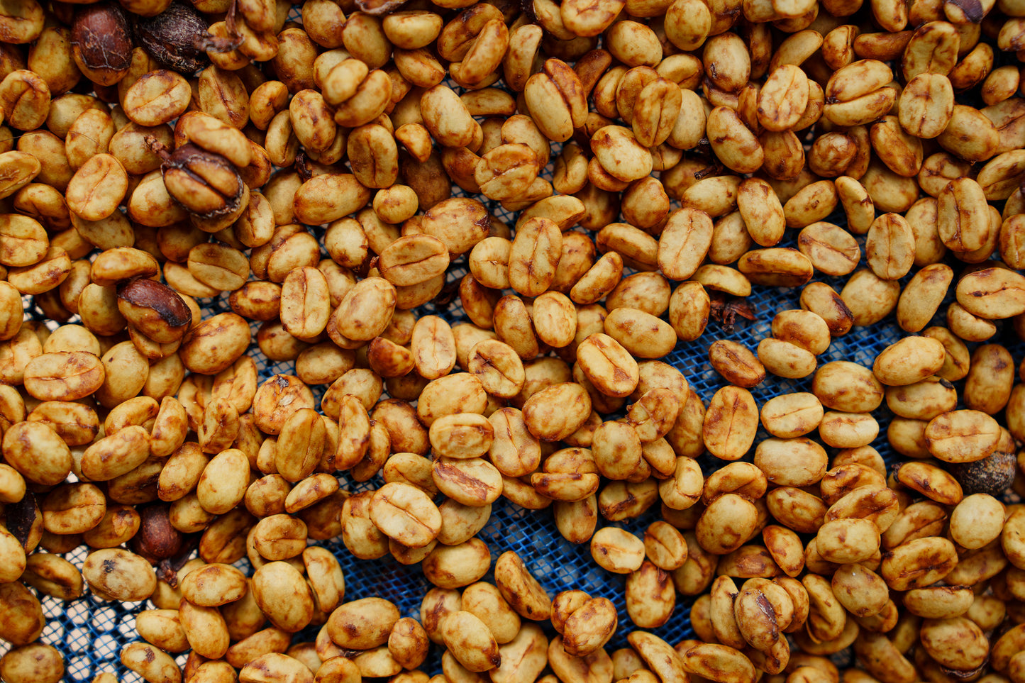 BEEJI(浅煎り)/Honey