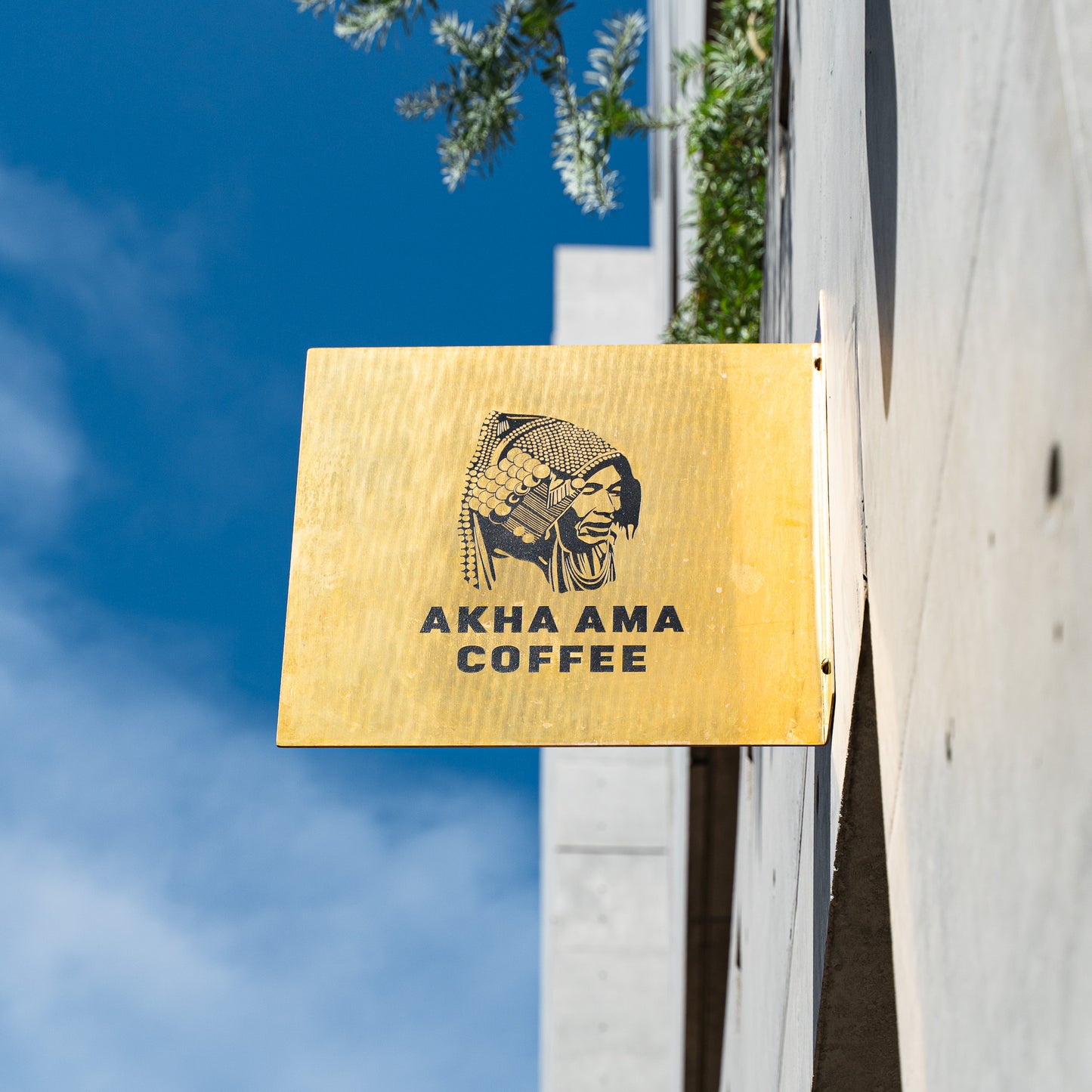 【限定】Christmas Roast 中浅煎り/Natural