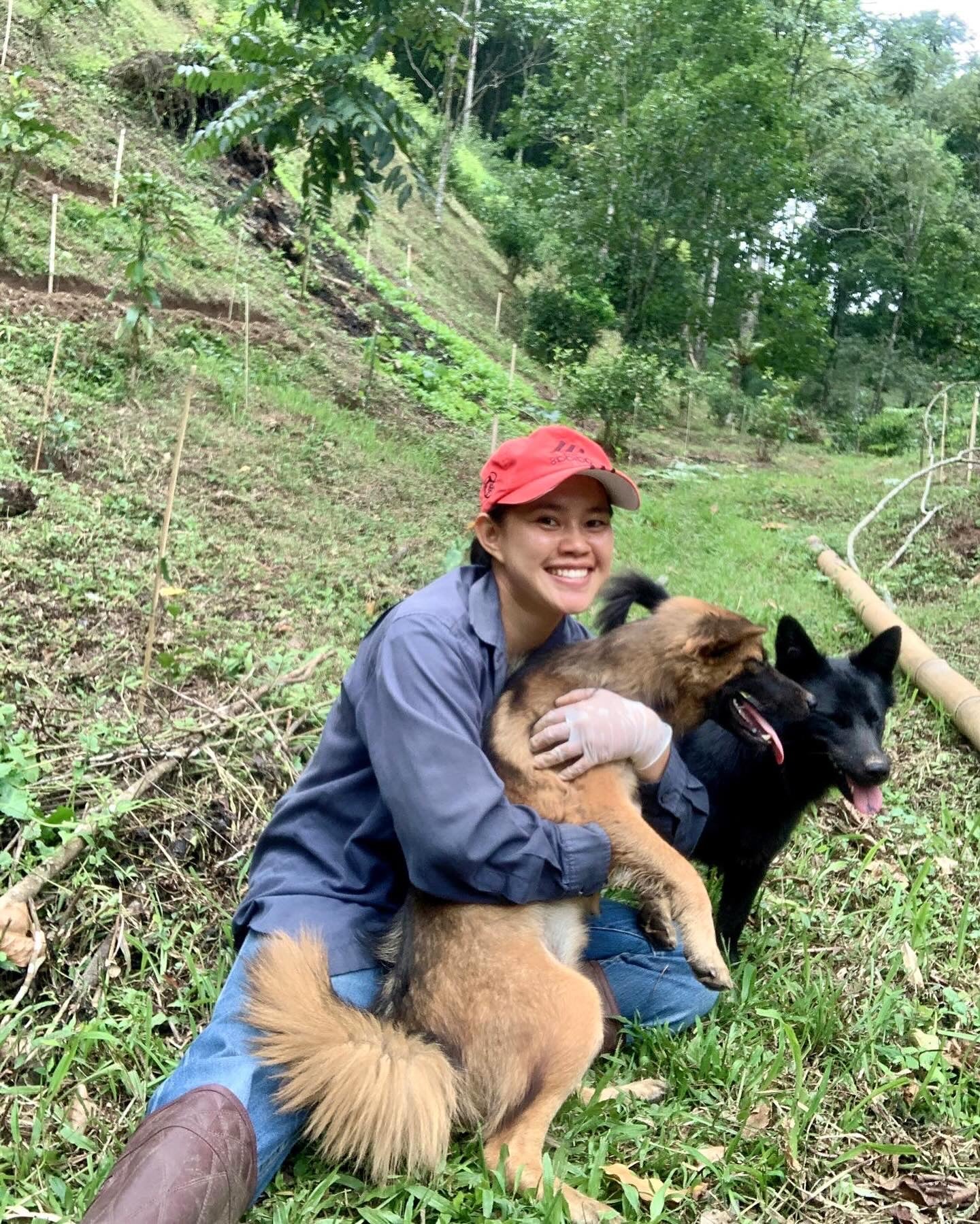 BEEJI(浅煎り)/Honey