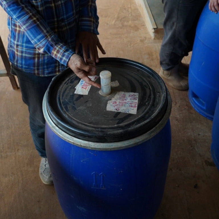 SAENCHAI(浅煎り)/Avocado Natural