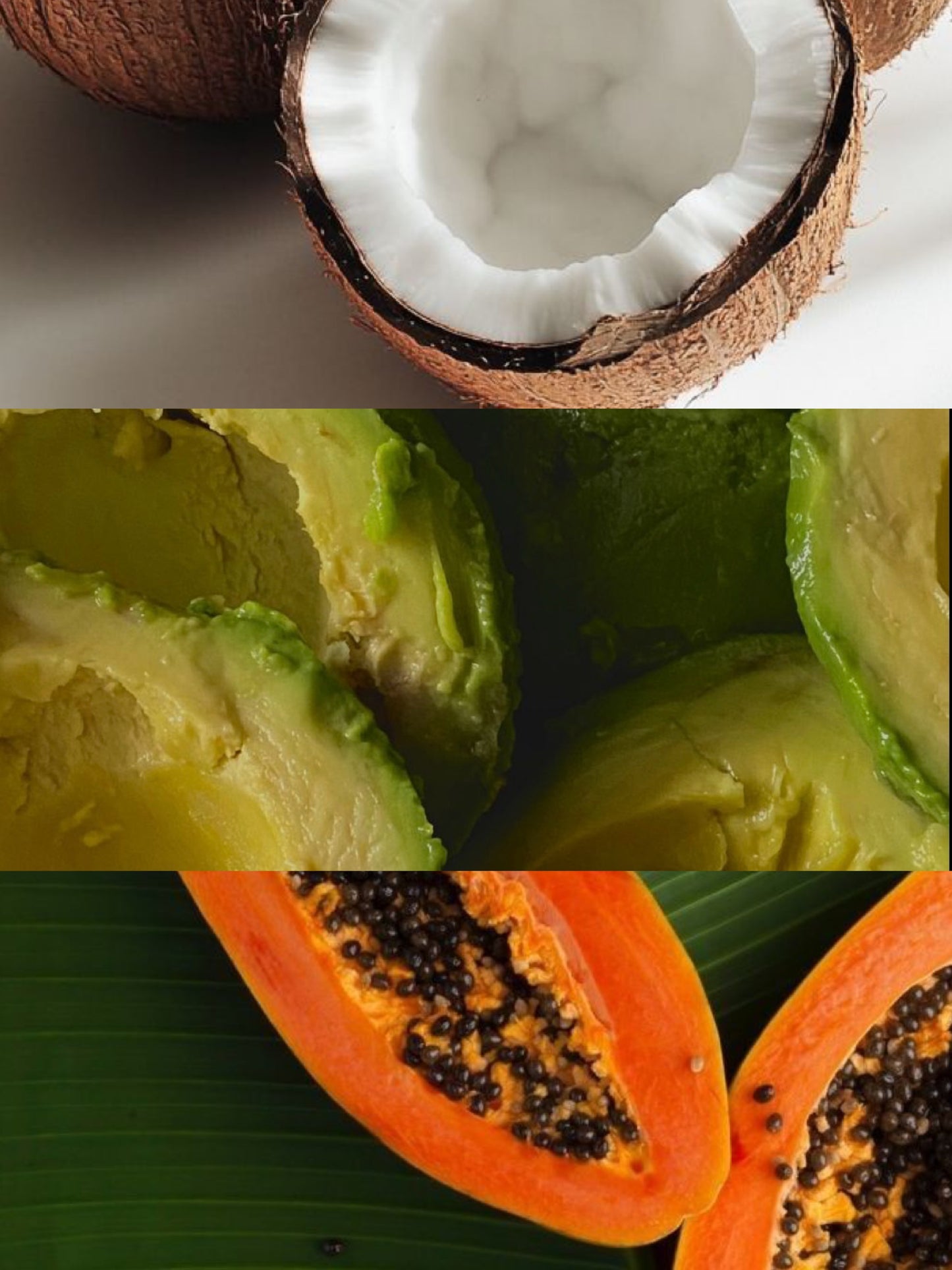 SAENCHAI(浅煎り)/Avocado Natural