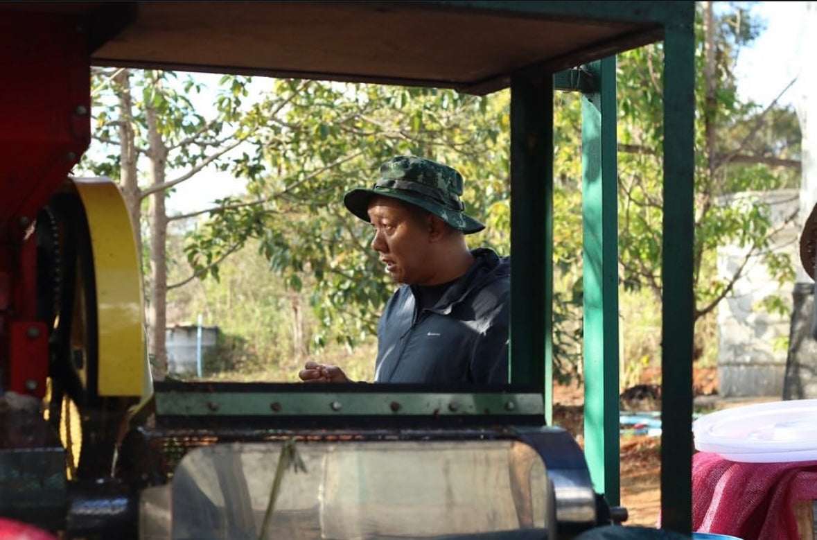 SAENCHAI(浅煎り)/Avocado Natural